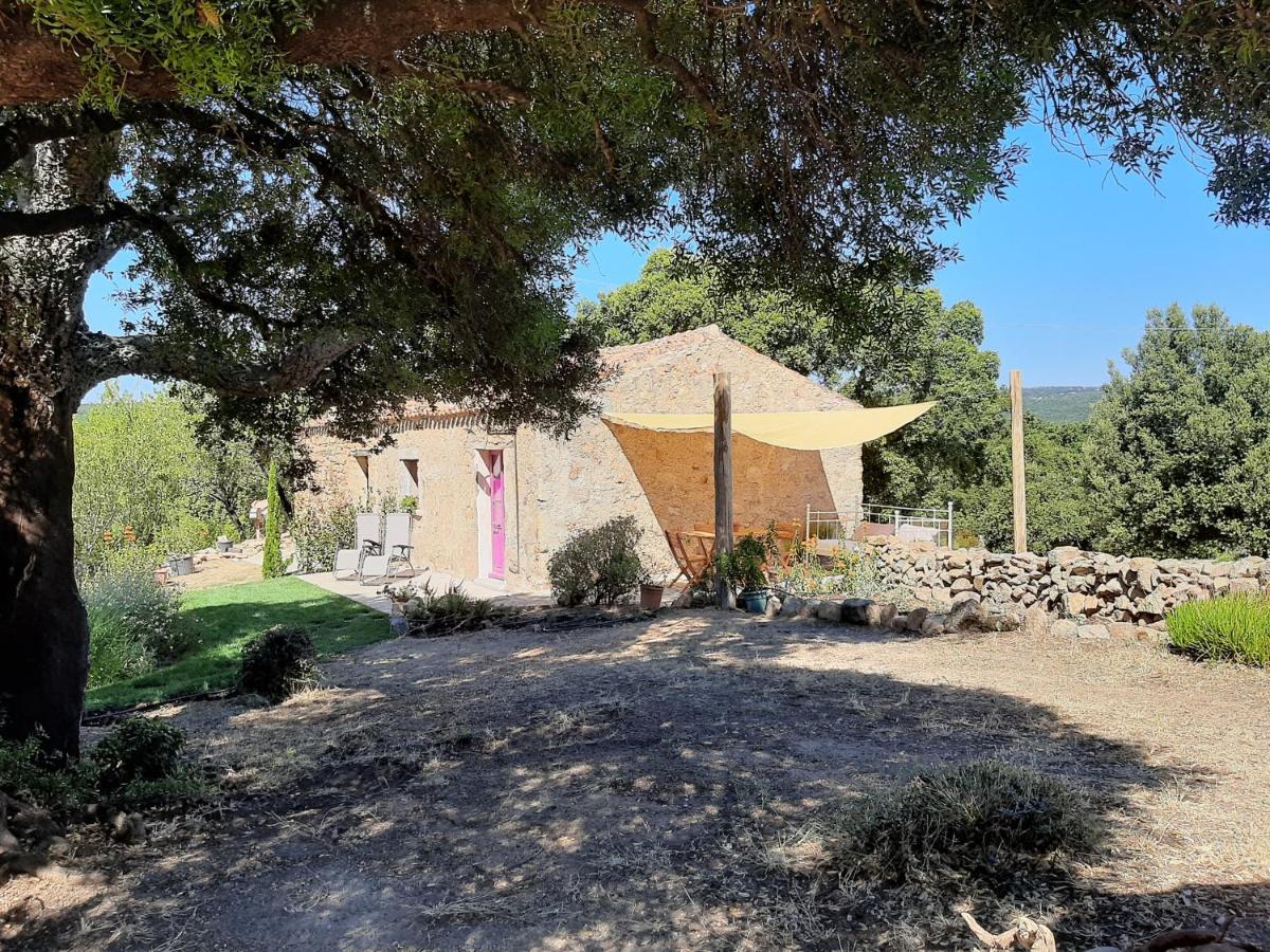 Holiday Home Su Niberalzu Monti Extérieur photo