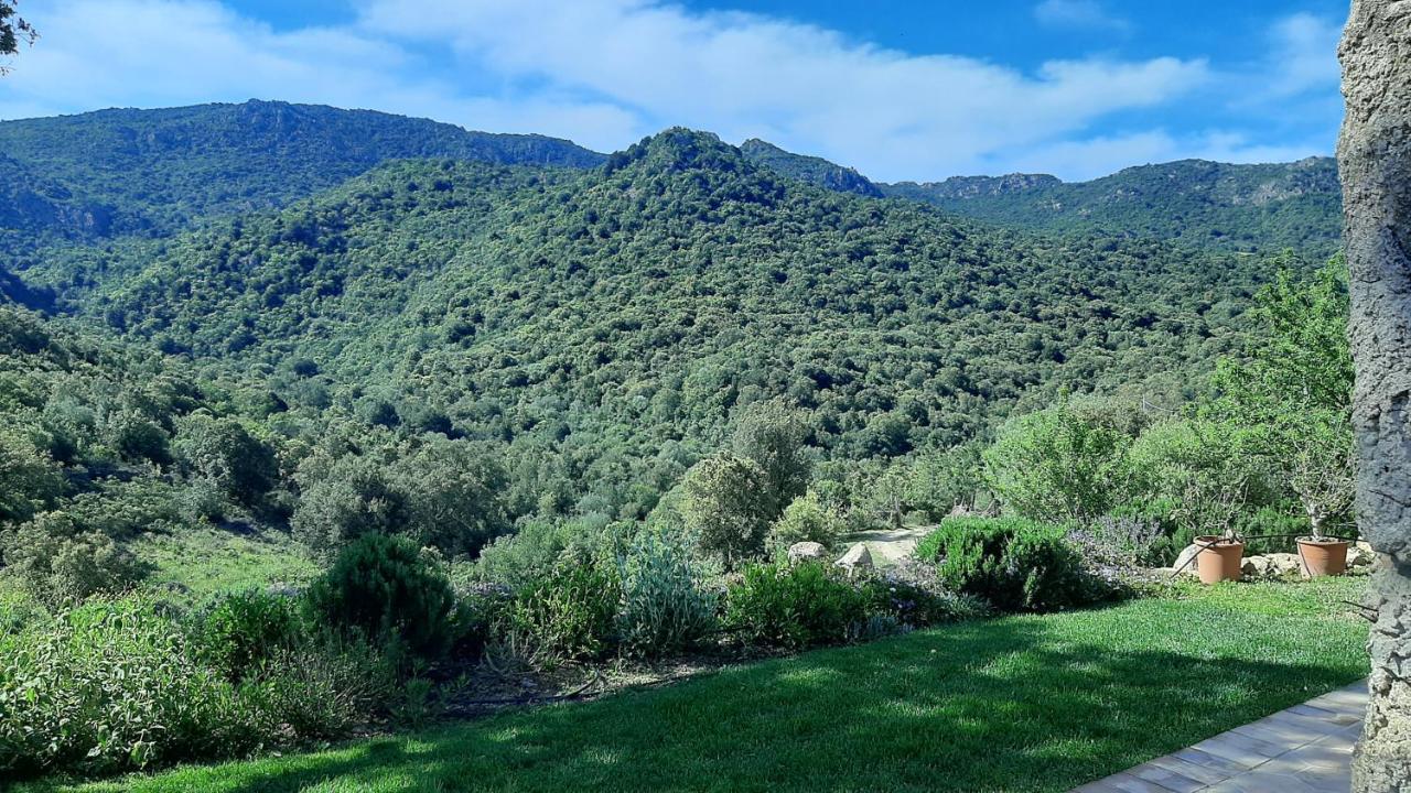 Holiday Home Su Niberalzu Monti Extérieur photo