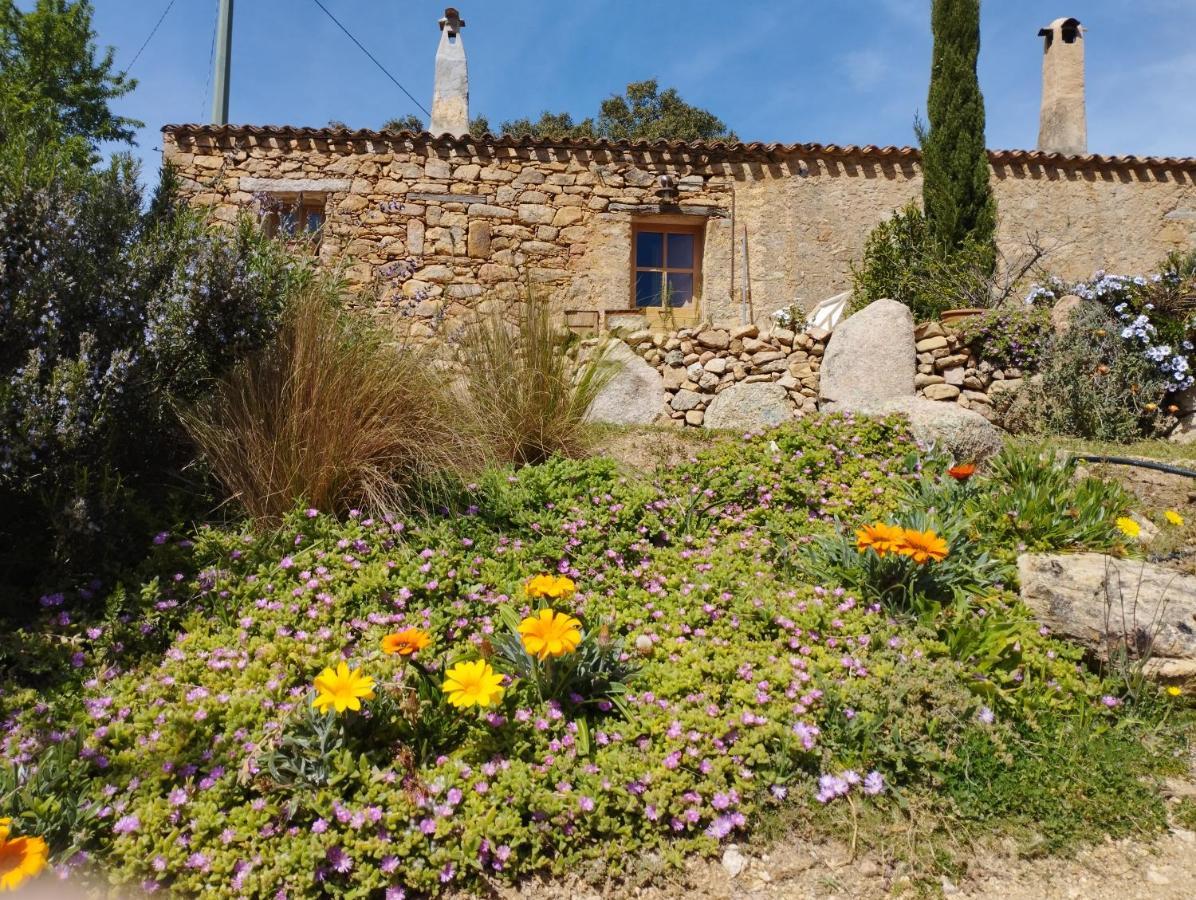 Holiday Home Su Niberalzu Monti Extérieur photo