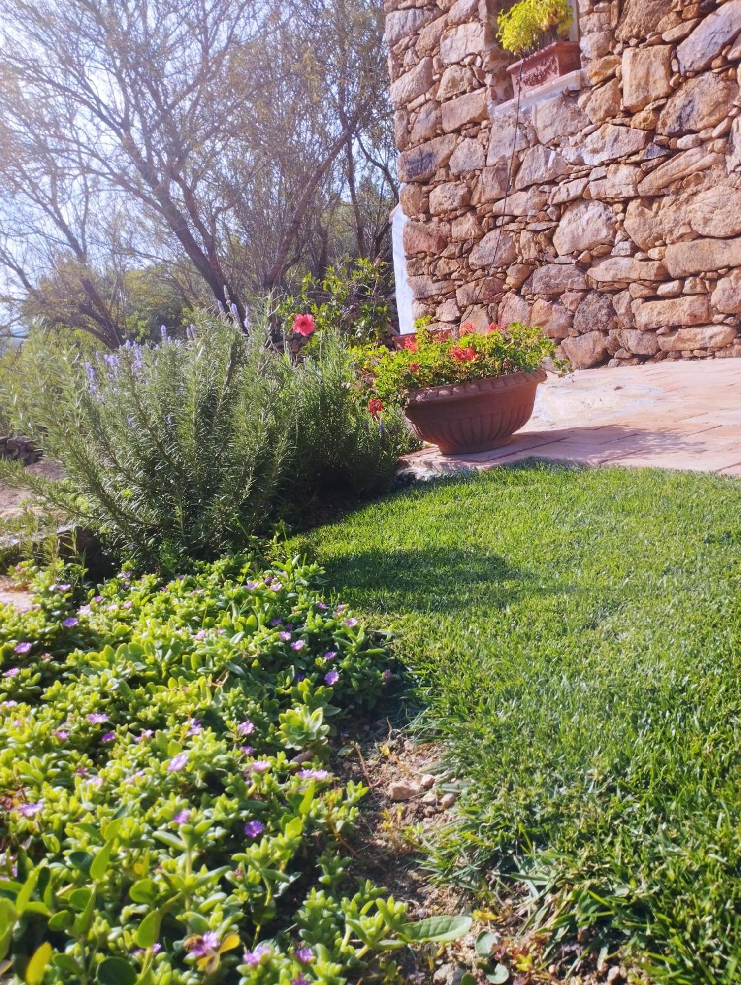 Holiday Home Su Niberalzu Monti Chambre photo