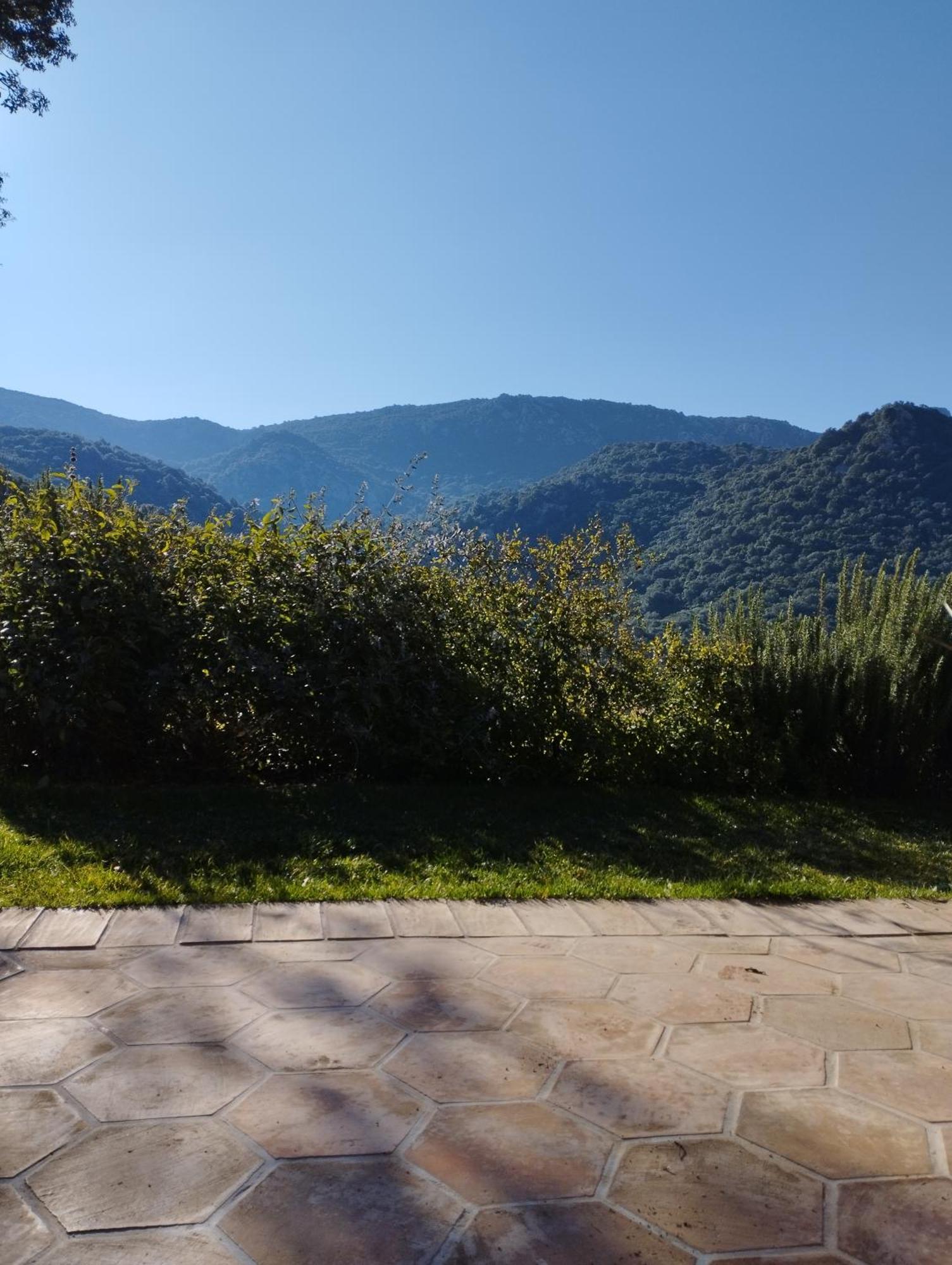 Holiday Home Su Niberalzu Monti Chambre photo