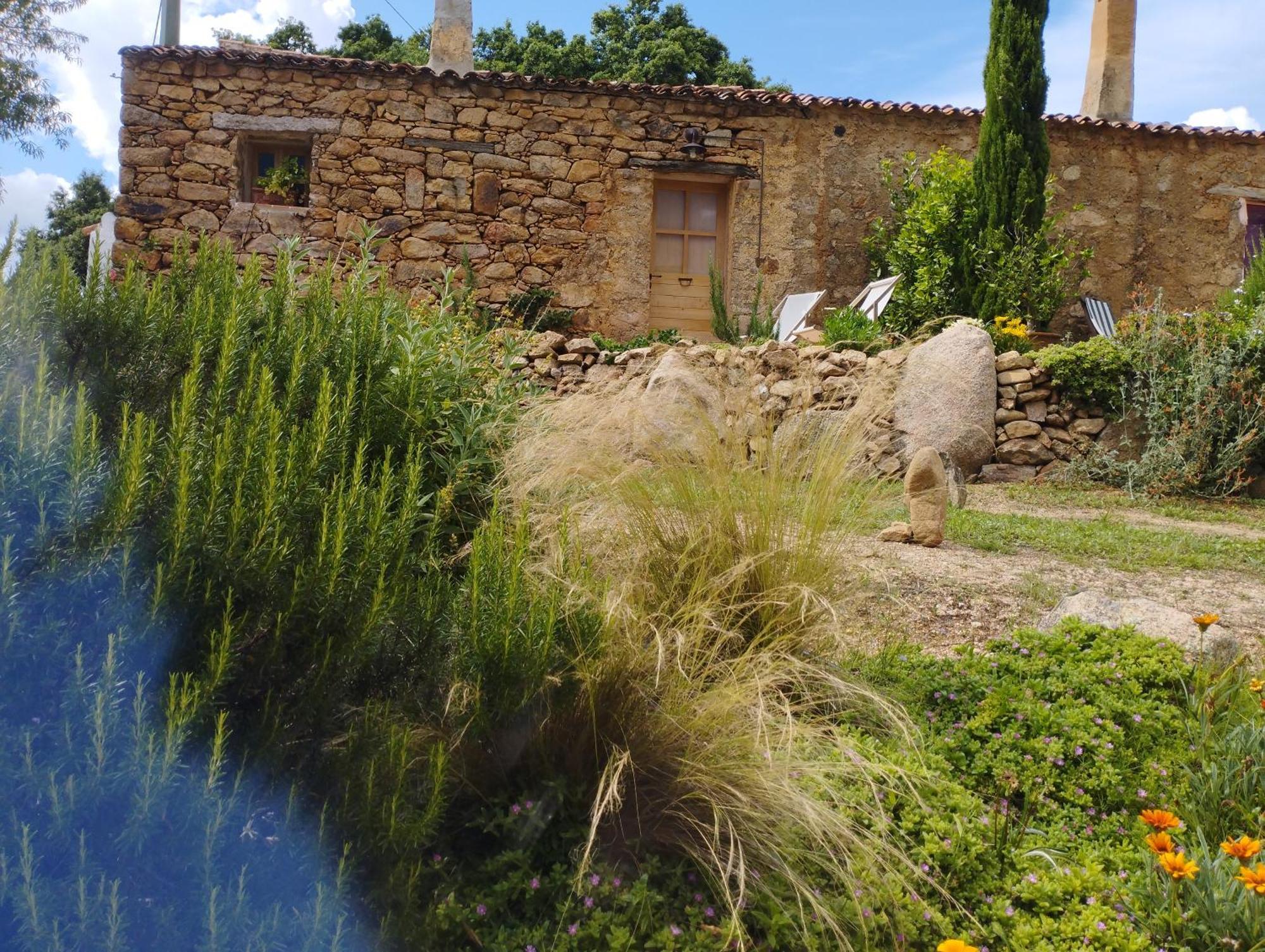 Holiday Home Su Niberalzu Monti Chambre photo