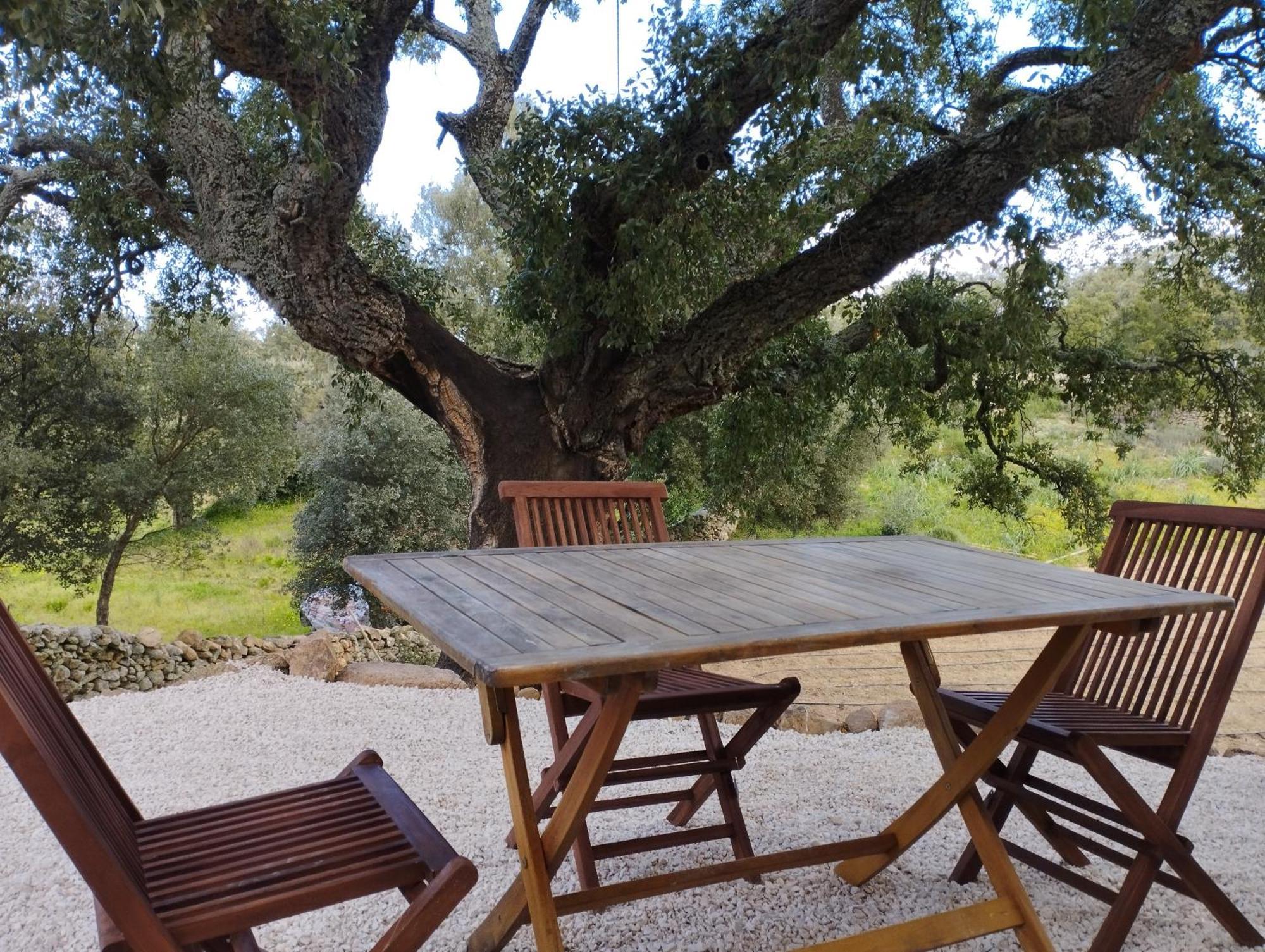 Holiday Home Su Niberalzu Monti Chambre photo